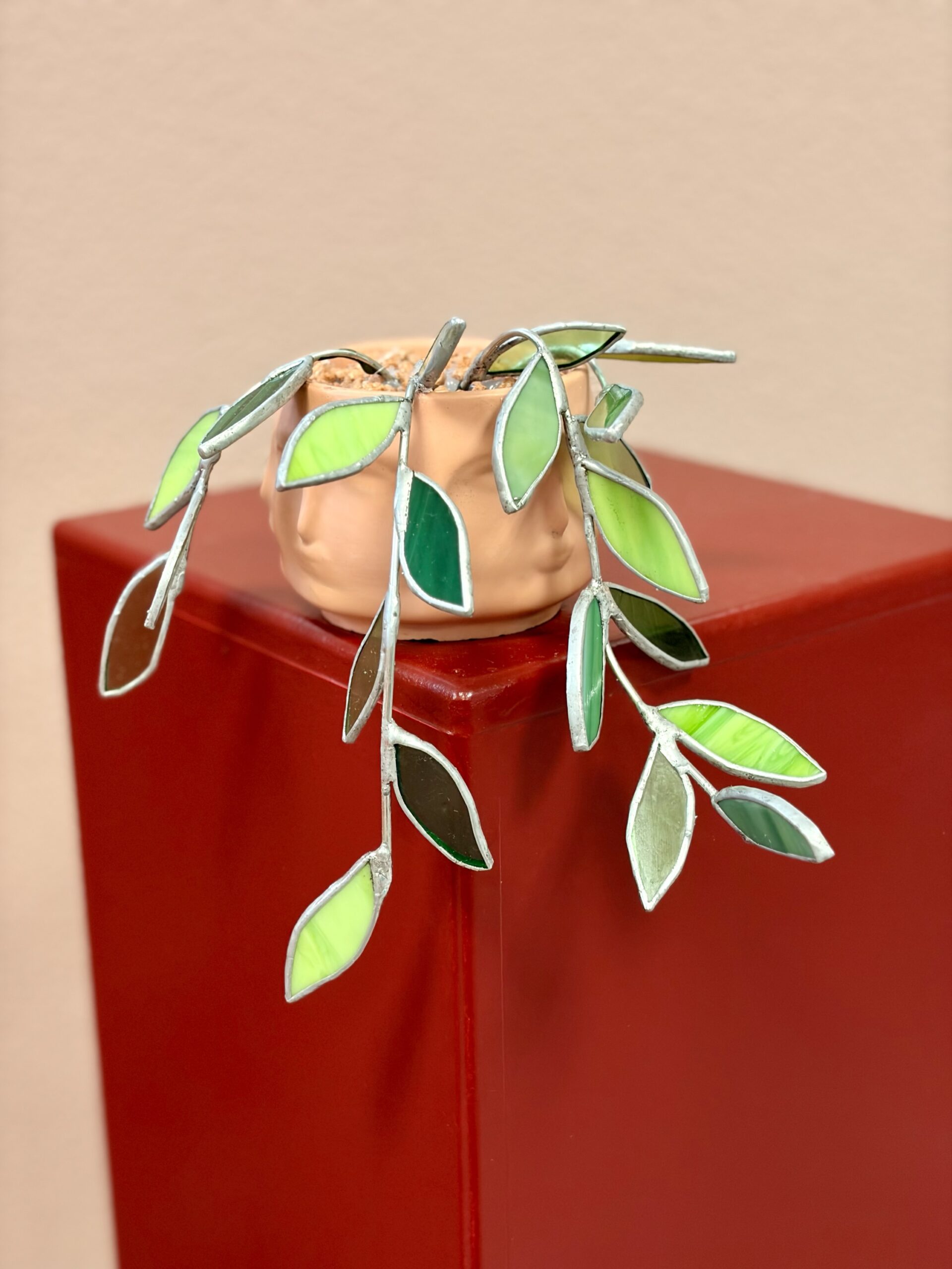 Green Grin - Hangplantje - Afbeelding 2