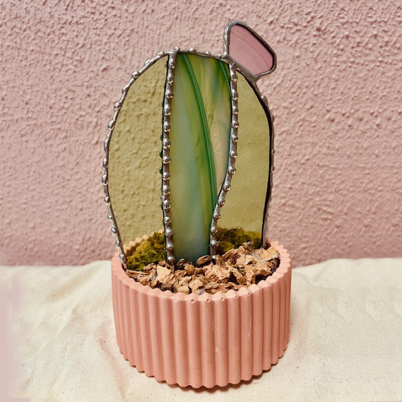 Prickles Cactus - Afbeelding 3