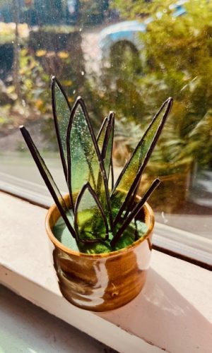 IMG_9382